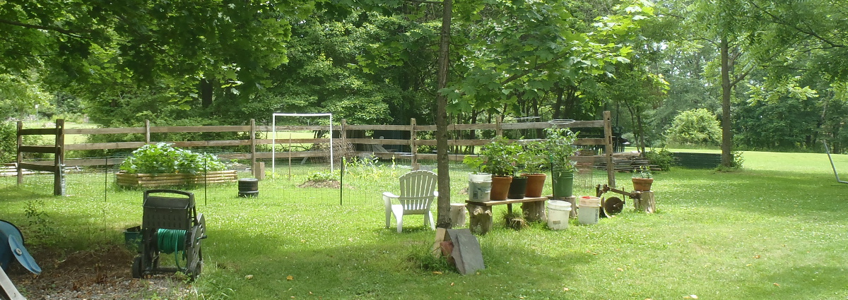 The Garden at the Homestead