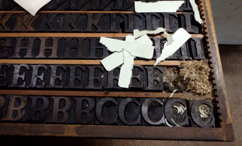 Mice in the wood type